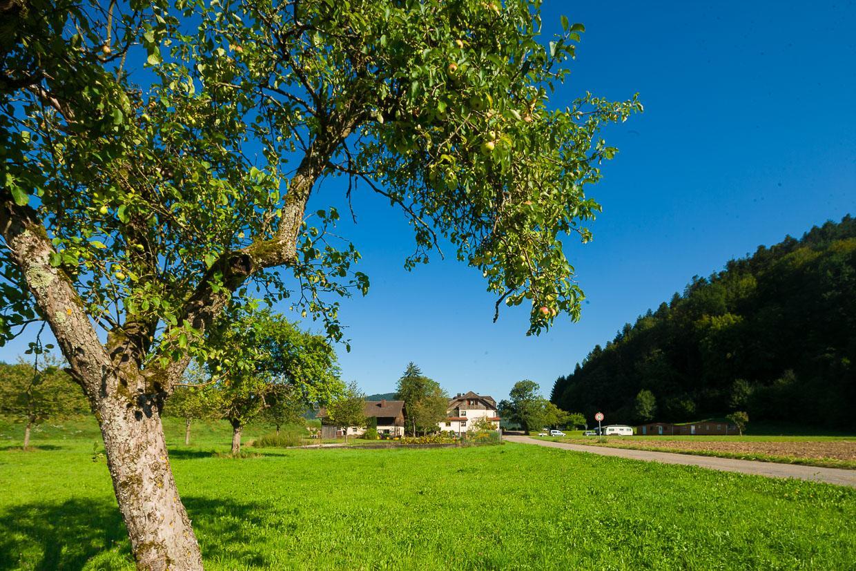 Landgasthof Kinzigstrand Biberach bei Offenburg Екстериор снимка